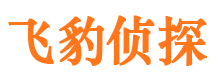 宁武市侦探调查公司